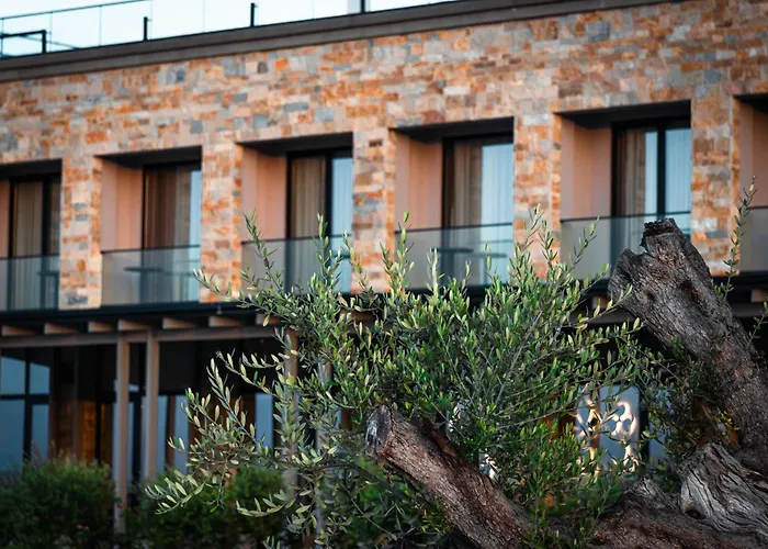 Kronos Hotell Koxhazi