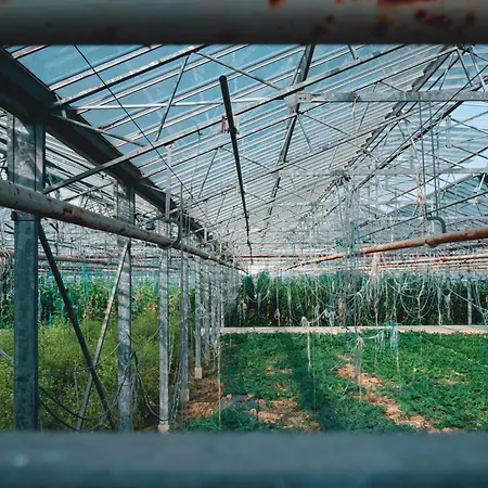 Kronos Ξενοδοχείο *