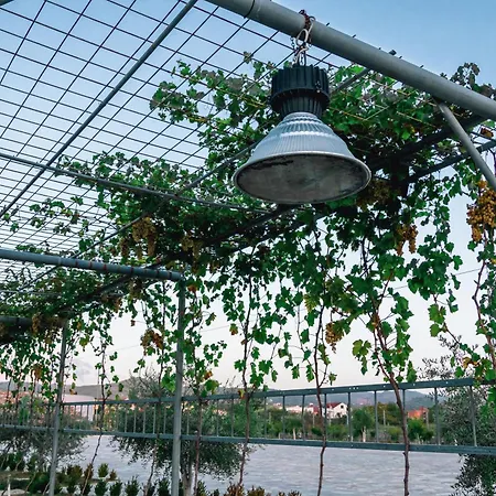 Kronos Ξενοδοχείο Koxhazi