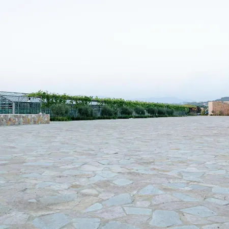 Kronos Hotel *